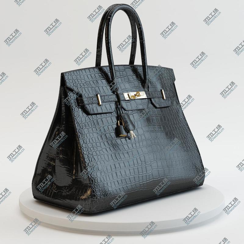 images/goods_img/20210319/Hermes - Birkin Crocodile Bag/4.jpg